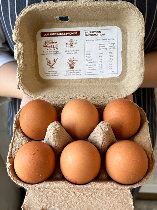 FRENZ - Carton of Free Range Eggs