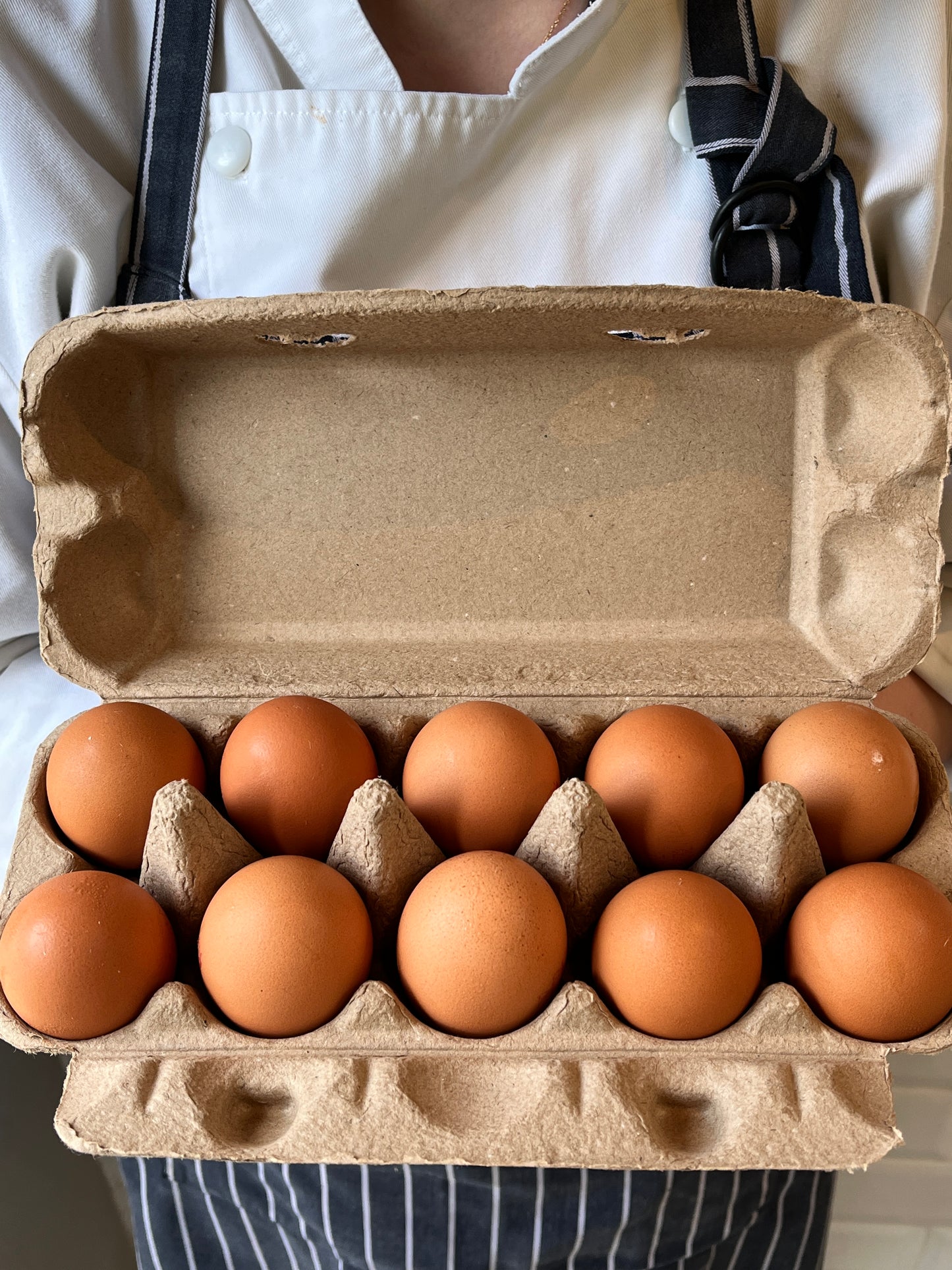 FRENZ - Carton of Free Range Eggs